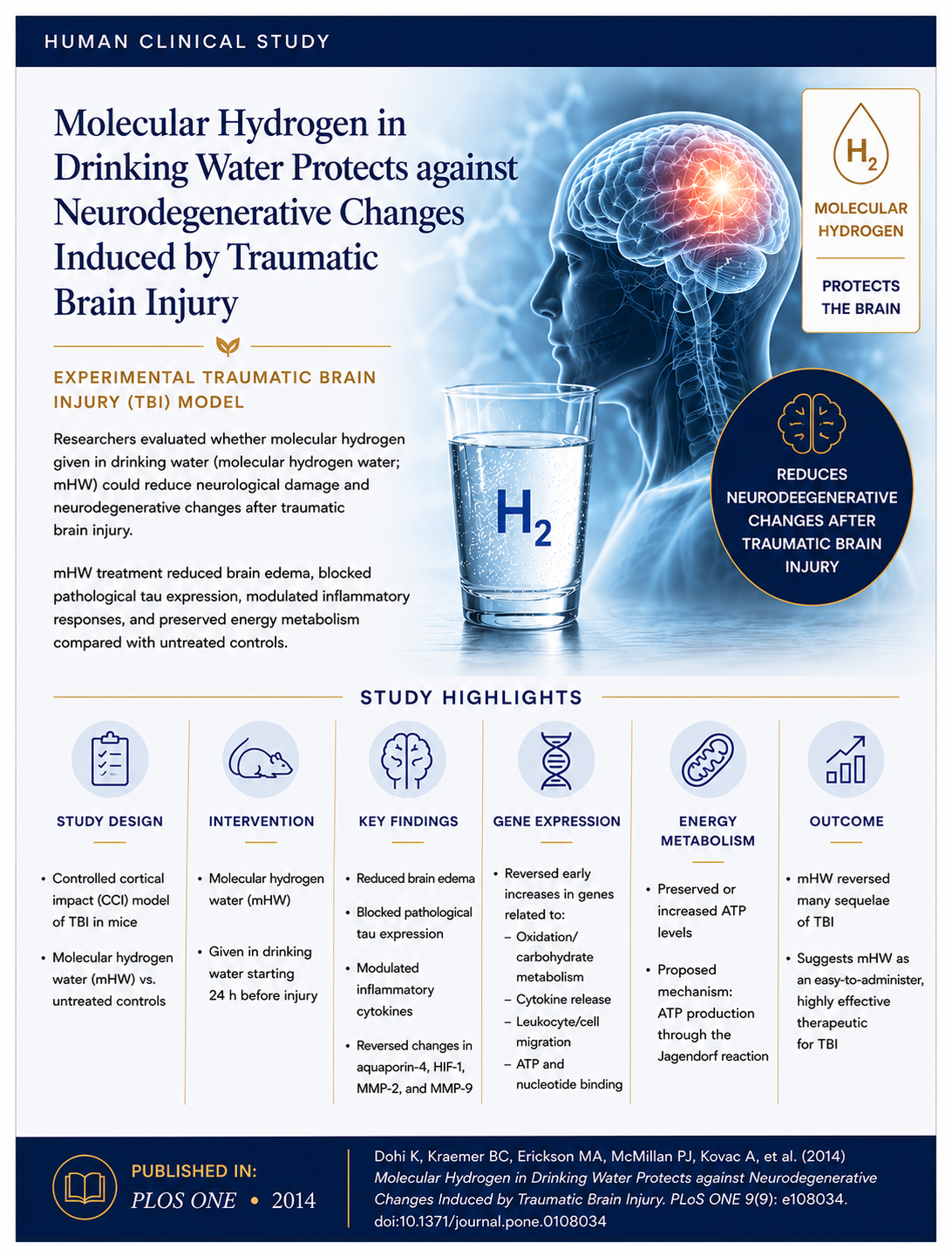 Cover photo for research article on molecular hydrogen in drinking water and effects on TBI