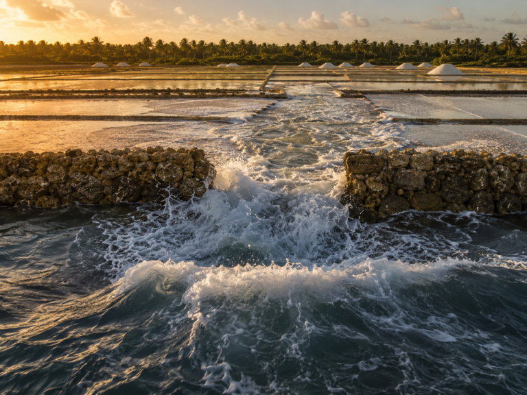 Ocean waves surge through a breach in a coral-stone wall, flooding coastal salt flats beneath the golden light of sunset.